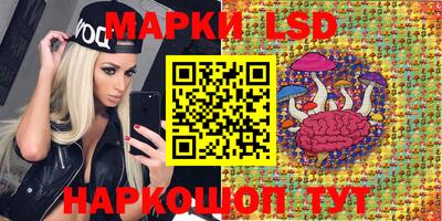 дмт Заводоуковск