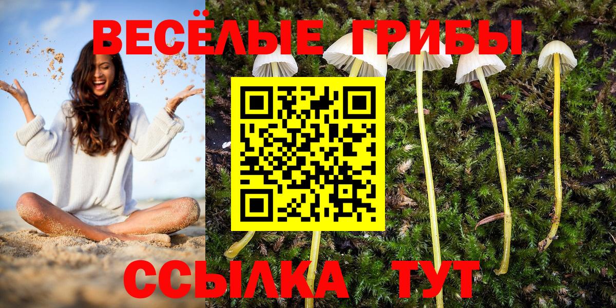 Лесосибирск  Псилоцибиновые грибы мухоморы  Вход с VPN 