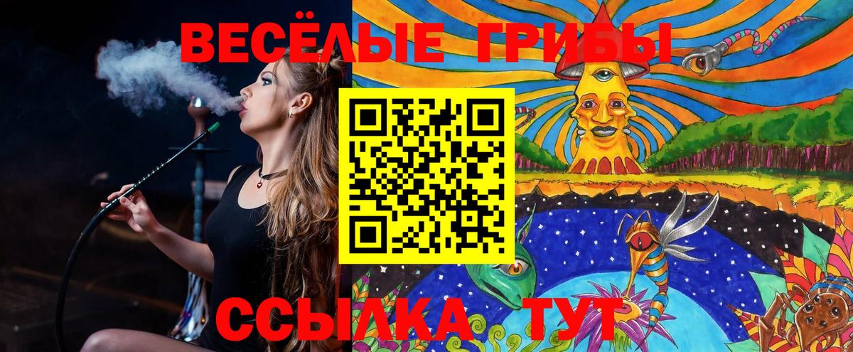 Псилоцибиновые грибы мухоморы Лесосибирск